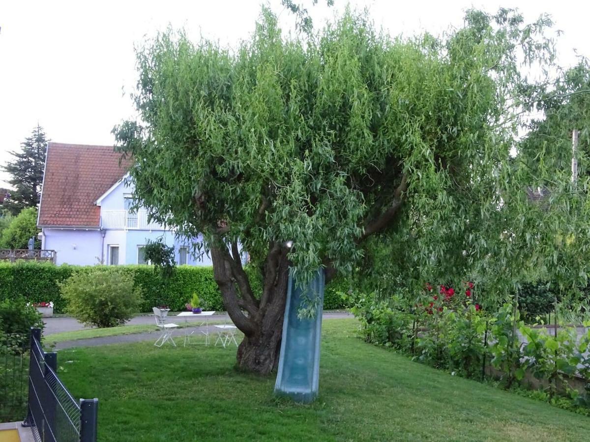 فيلا Tiny-House Wihr-au-Val المظهر الخارجي الصورة